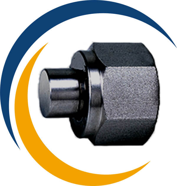 Carbon Steel Plug (Port Ends)