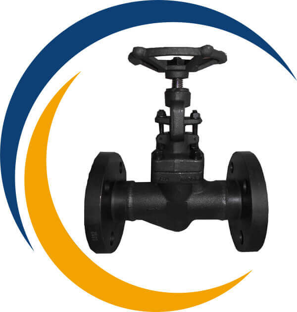 Carbon Steel Cryogenic Globe Valve