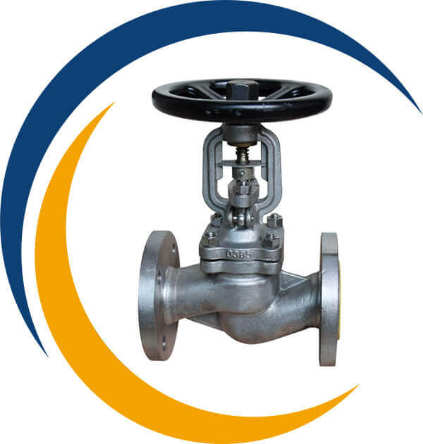 SS 304 Globe Valves